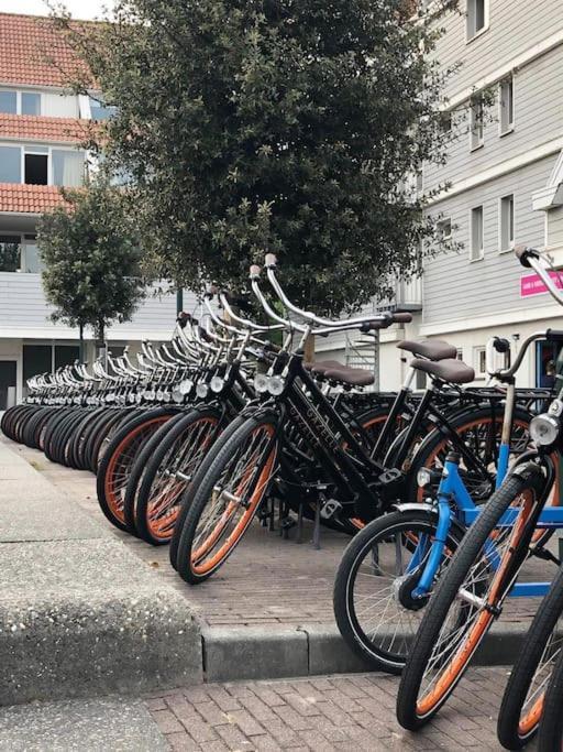 Welkom In Dekreek V59, Dem Freundlichen Ferienhaus Bruinisse Bagian luar foto